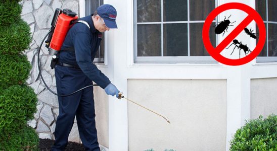 Korgun Karınca İlaçlama böcek ilaçlama ve haşere kontrolü — ilaclama-tr.com
